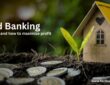 land banking and how to invest for maximum ROI